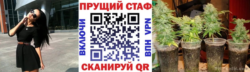 Наркотические вещества Мирный Марихуана COCAIN АМФ Меф мяу мяу ГАШИШ Псилоцибиновые грибы СК