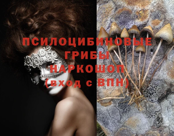 не бодяженный Абдулино