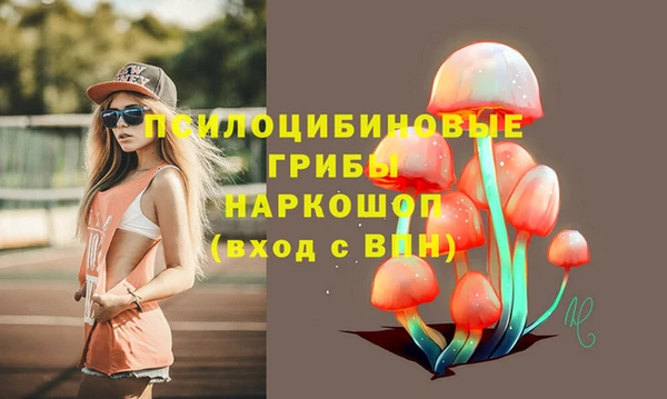 круглые Алексин