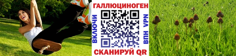 Галлюциногенные грибы прущие грибы  купить   Мирный 